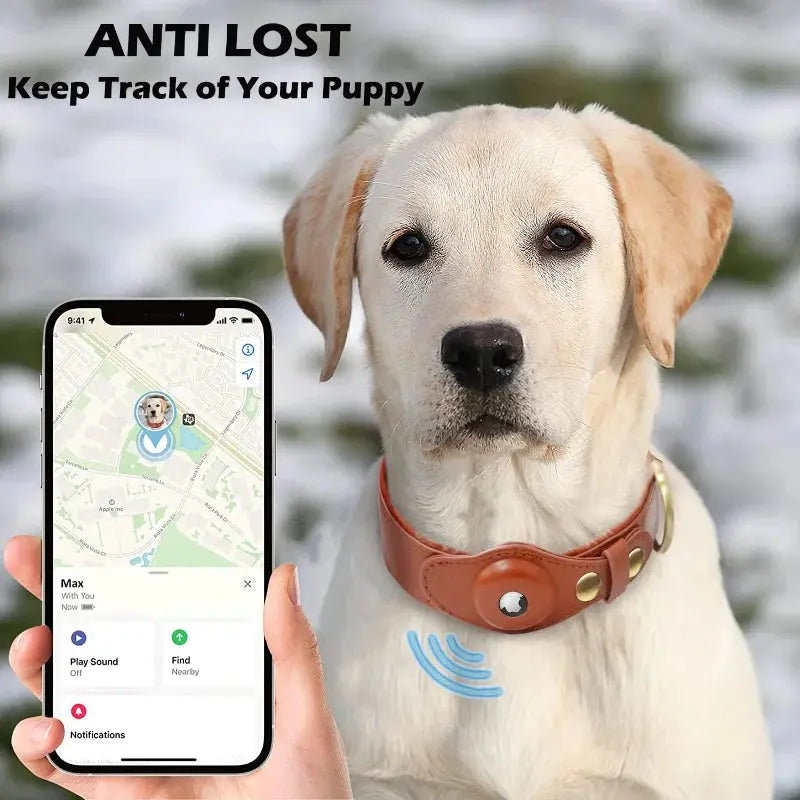 Heavy-Duty Leather Dog Collar with Airtag Holder for Apple Airtag - Anti-Lost, Secure Positioning, Dog Accessories. - OFFICIAL GO GET IT ENTERPRISE LLC